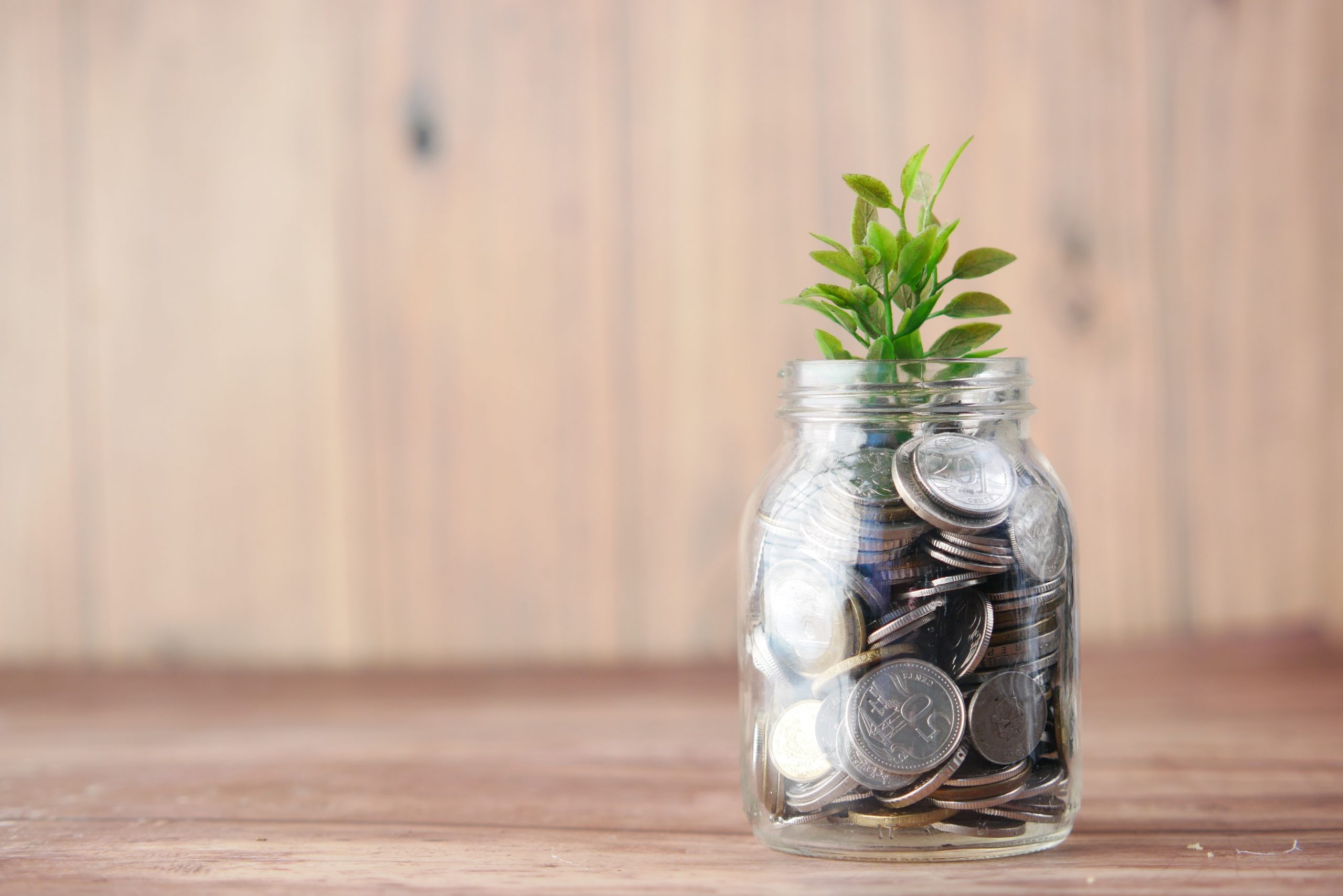 Financial Advisors