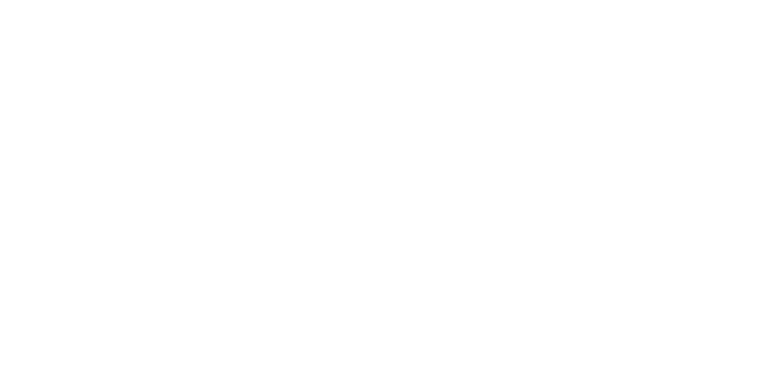 rebel logo white
