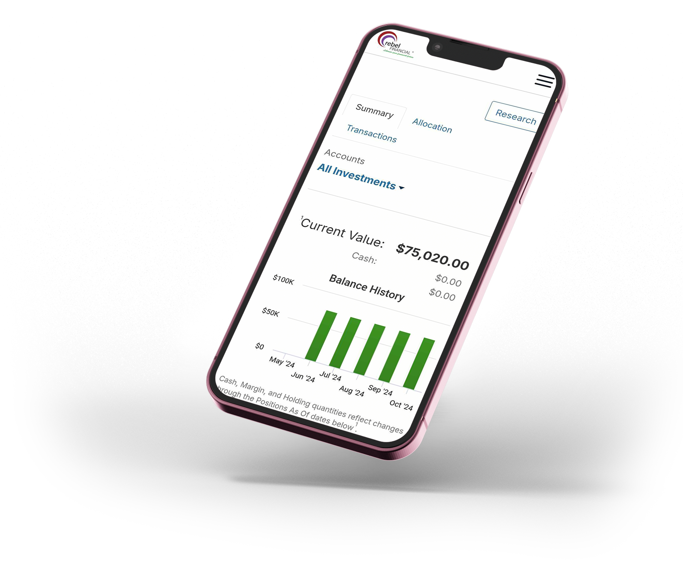 Rebel financial accounts